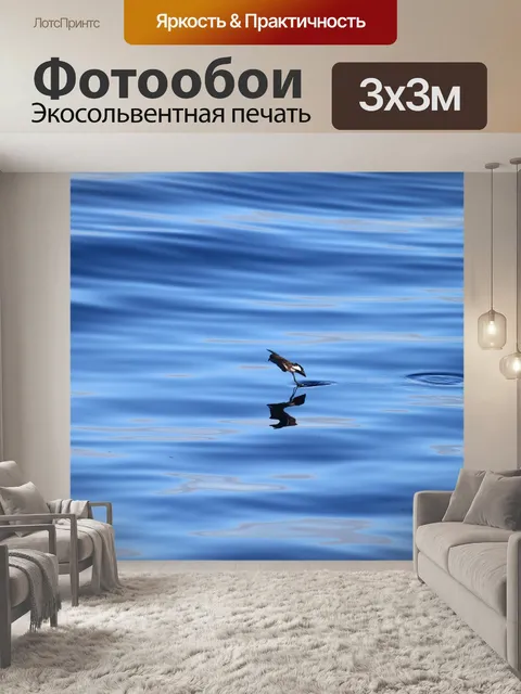Фотообои Буревестник