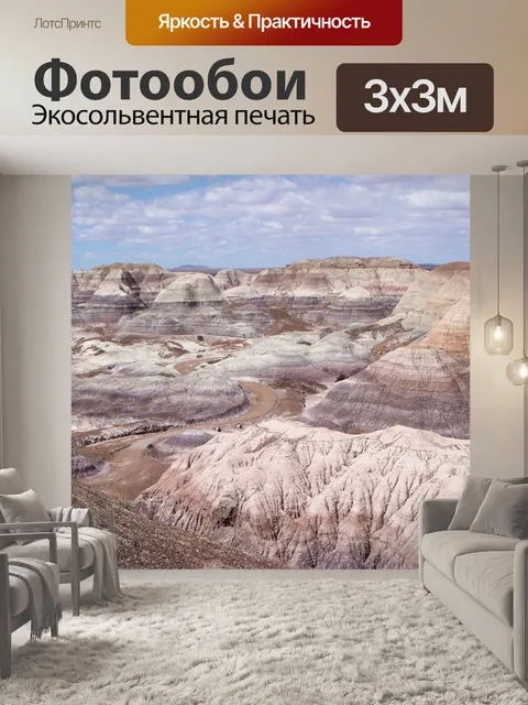 Фотообои Окаменевший лес национальный парк
