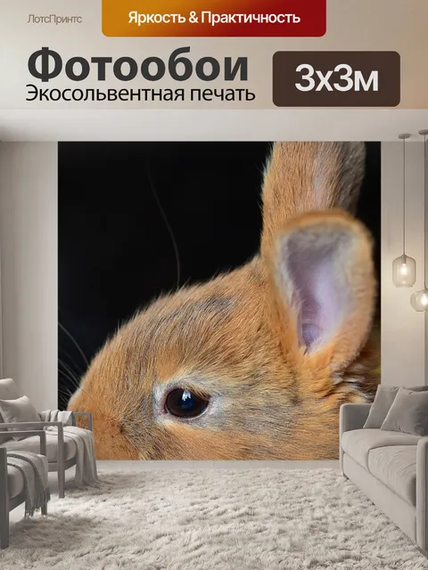 Фотообои Кроличьи уши
