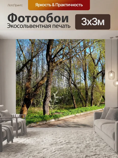 Фотообои Вид