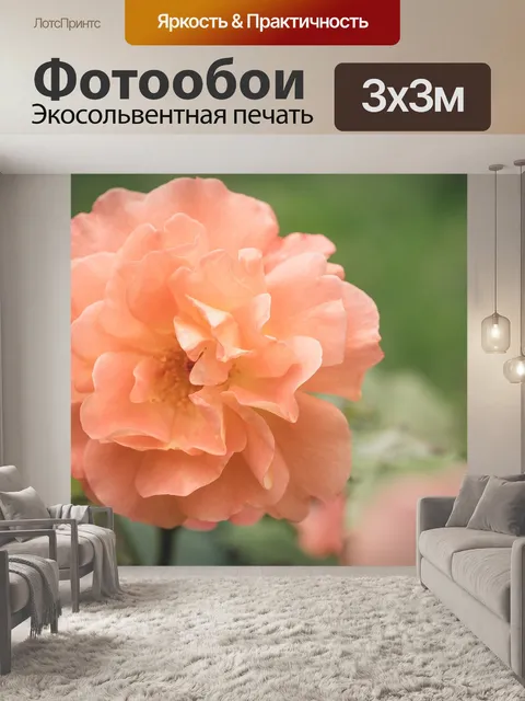 Фотообои Роза