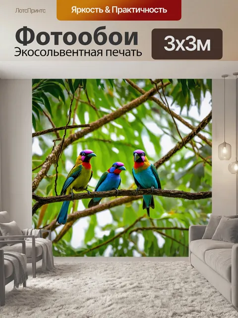 Фотообои птицы на паутинке тропического свода, защищенного от дождя и солнца