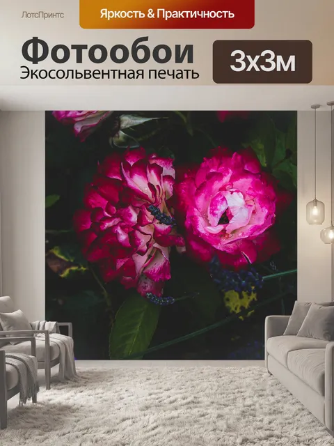 Фотообои Розовый