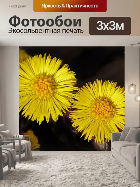 Фотообои Мать-и-мачеха