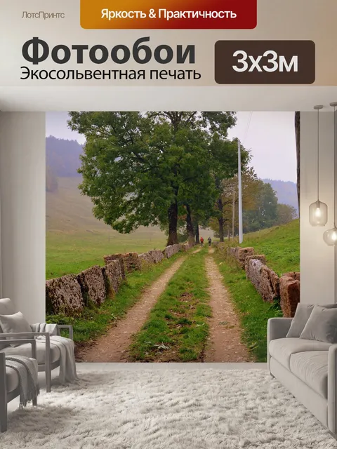 Фотообои Тропа