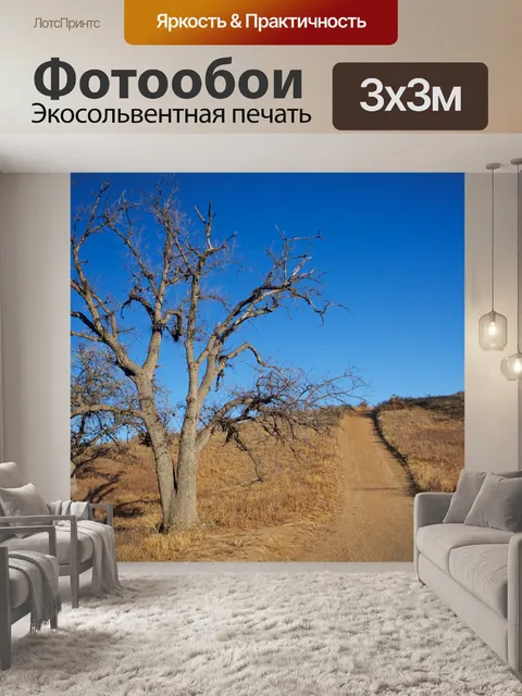 Фотообои Путь через пустыне