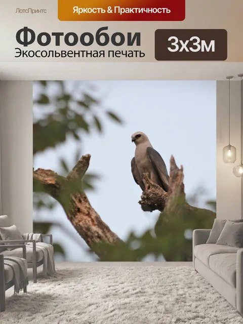 Фотообои Воздушный змей Миссисипи в верхушке дере