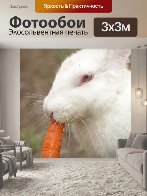 Фотообои Кролик