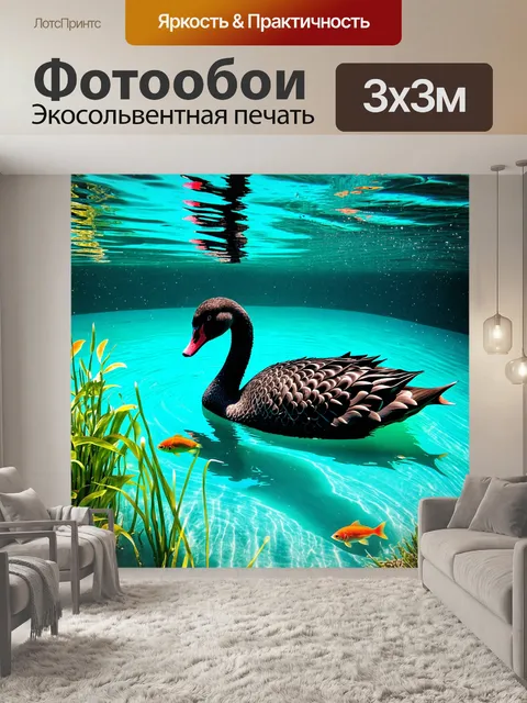 Фотообои подводный мир пруда, где плавает черный лебедь с подводными растениями и мелкой рыбой