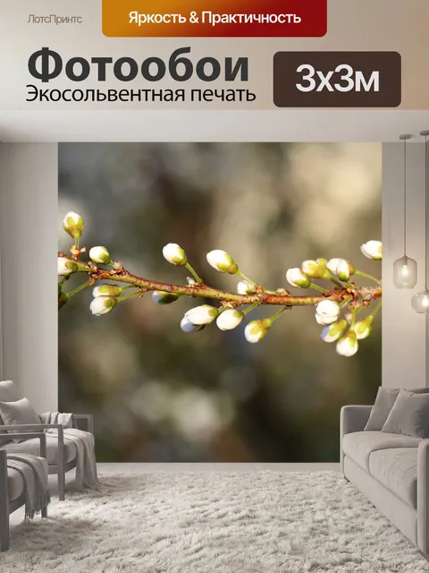 Фотообои Флора
