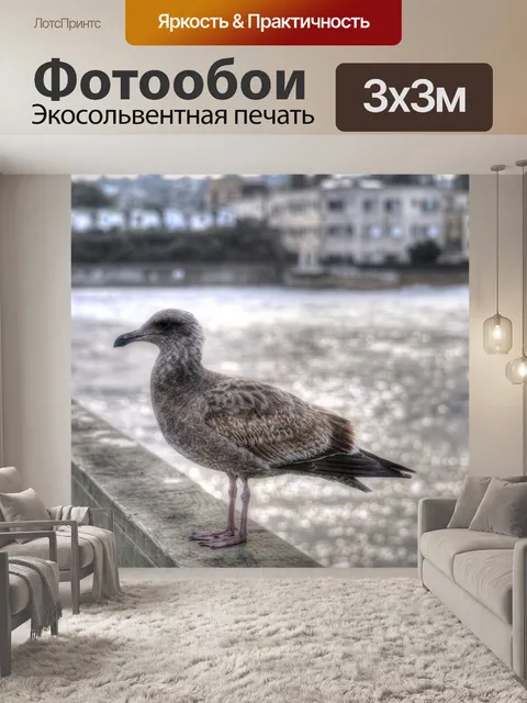 Фотообои Молодая чайка на пирсе