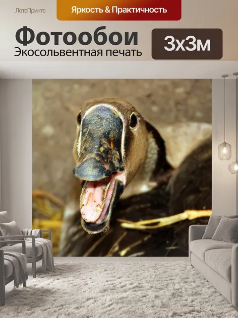 Фотообои Гусь