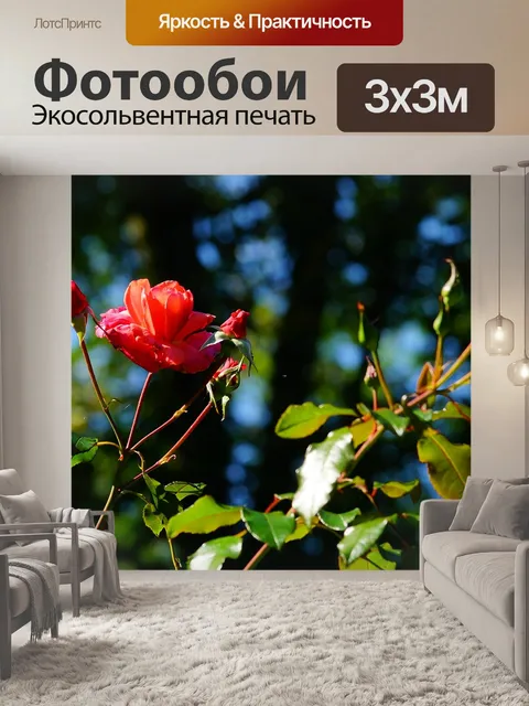 Фотообои Расцветает