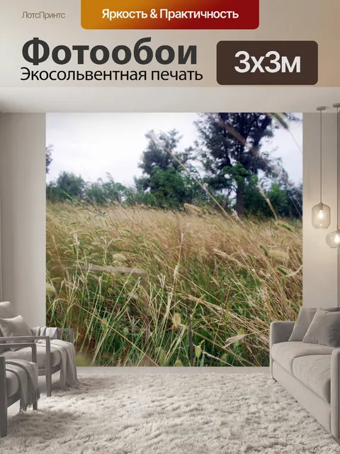 Фотообои Трава поле