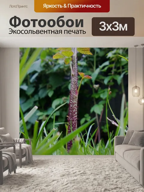 Фотообои Малина тростника газон стрелять