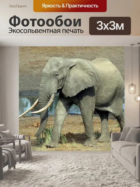 Фотообои Африка