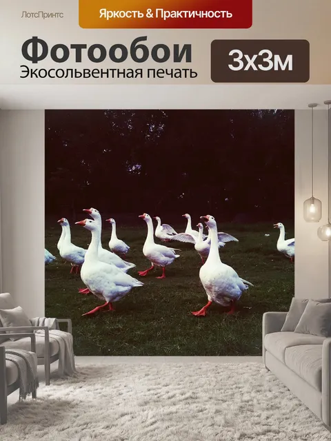 Фотообои Утки