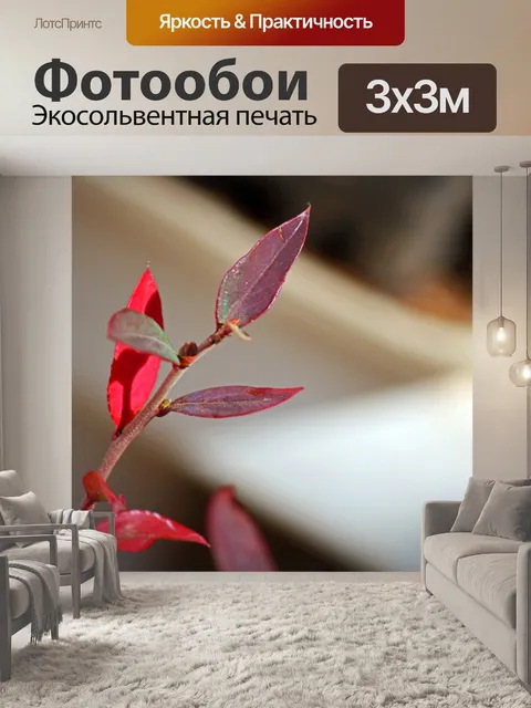 Фотообои листья куста красной черники