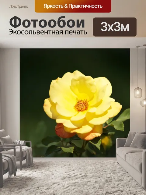 Фотообои Яркий Желтая роза