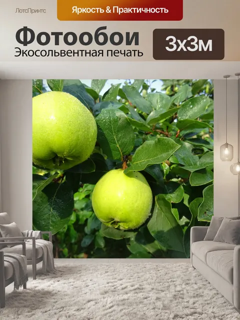 Фотообои Фрукты