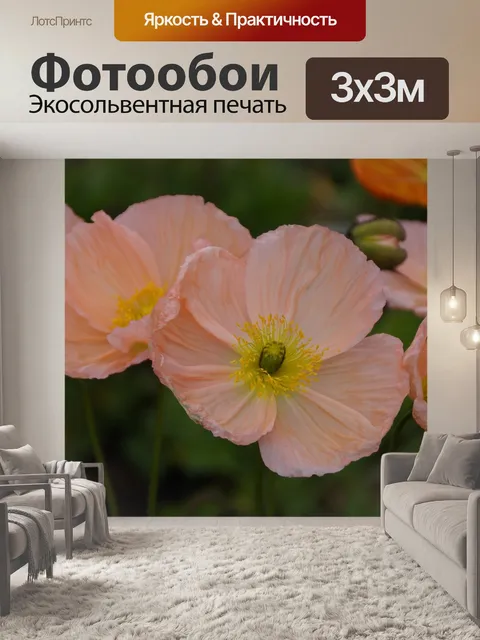 Фотообои Мягкий