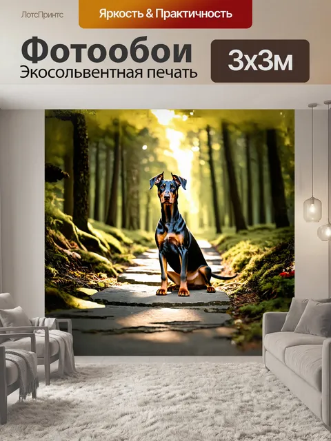 Фотообои доберман-пинчер, сидящий на каменной дорожке в лесу, его внимание сосредоточено на чем-то вдалеке