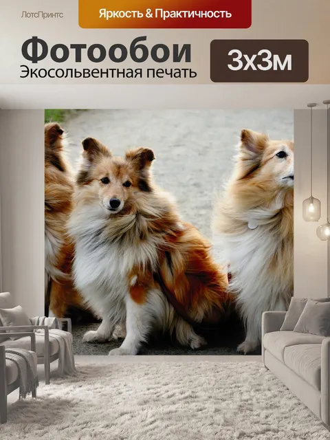 Фотообои Шелти