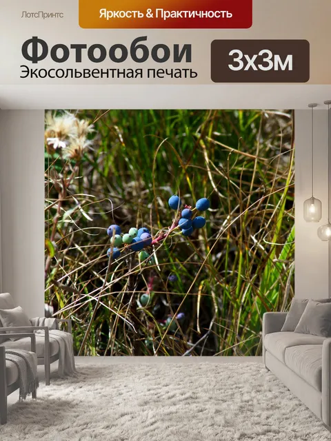 Фотообои Голубой лесных ягод