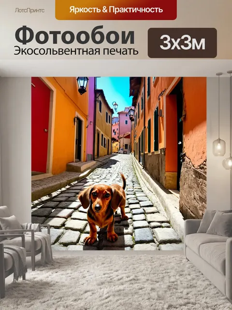 Фотообои длинношерстная такса исследует узкие улочки старого города, её шерсть играет на солнце