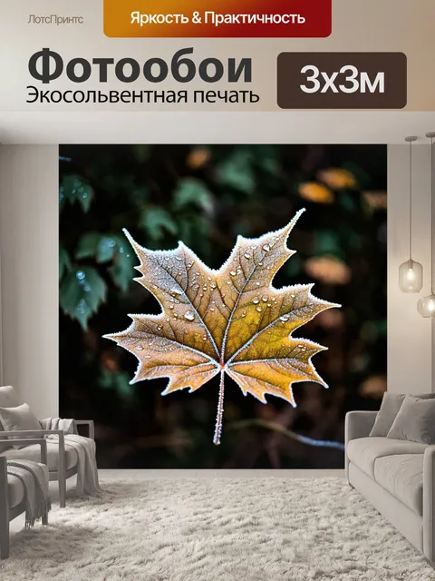 Фотообои лист с текстурой, покрытый инеем, утренняя роса, фон темного леса, контраст между холодом и свежестью