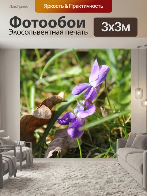 Фотообои Фиолетовый