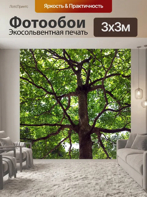 Фотообои ствола дерева, 3 уровня