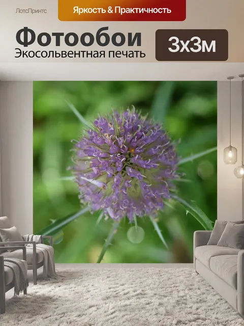 Фотообои Макросъемка