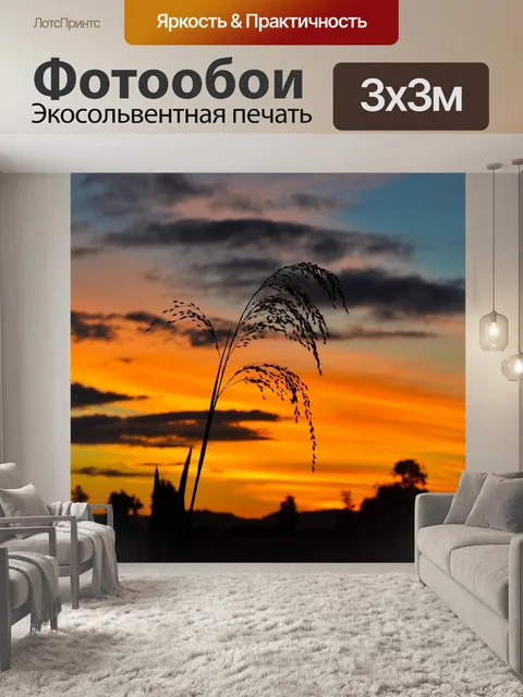 Фотообои Закат на земле