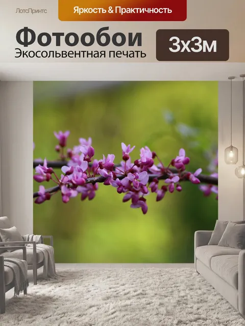 Фотообои Иудаистское дерево