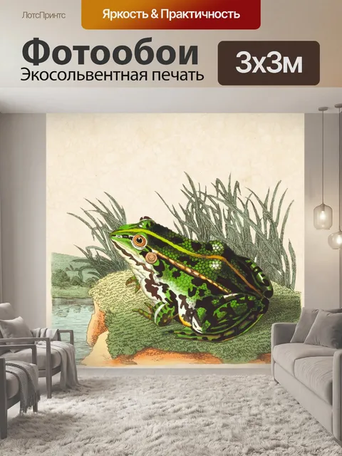 Фотообои Старое винтажное искусство лягушки