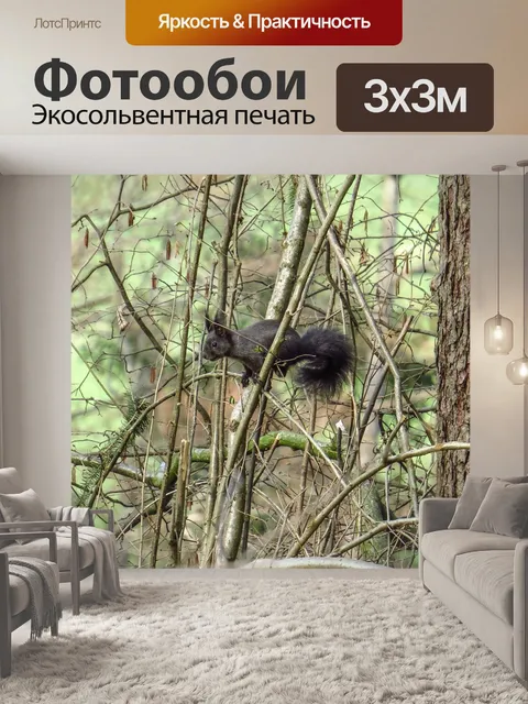 Фотообои Белка