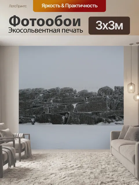 Фотообои Стена