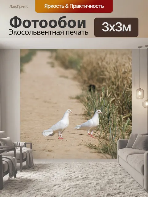 Фотообои Белая птица голубь