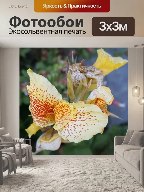 Фотообои Цветочный садик
