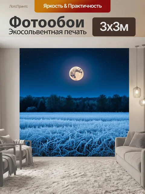 Фотообои поле, покрытое серебристым инеем, с восходящей лунной атмосферой