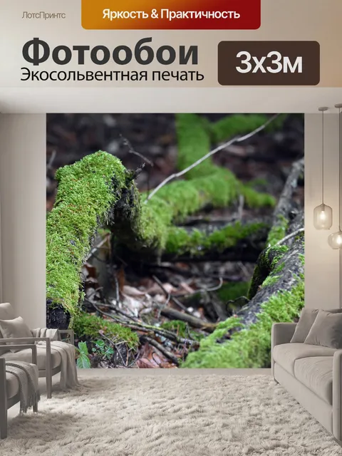 Фотообои Мосс