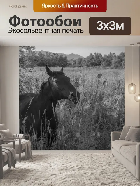 Фотообои Кормление лошадей полевыми цветами
