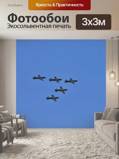 Фотообои Silver Falcon в формировании об