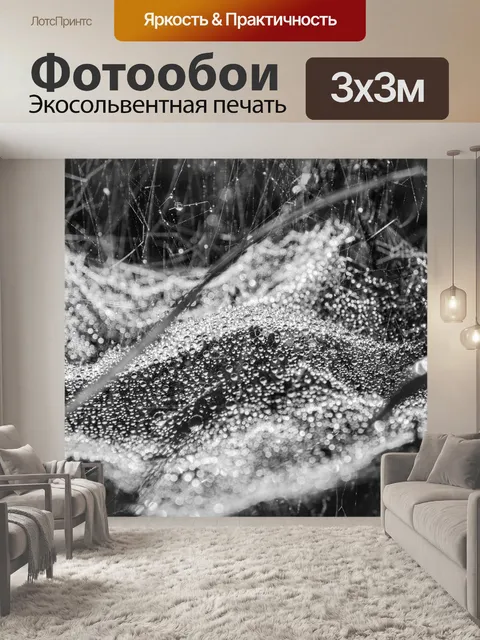 Фотообои Капля росы