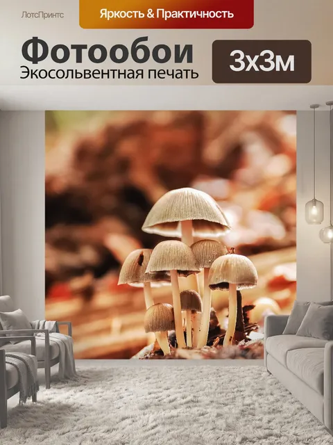Фотообои Лес