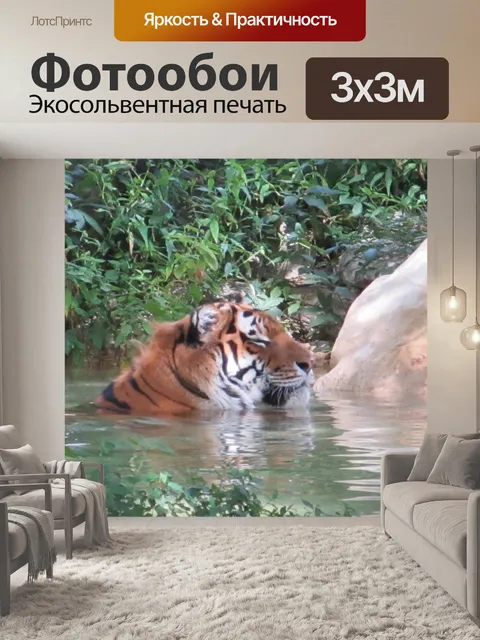 Фотообои Тигр