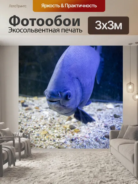 Фотообои Пиранья