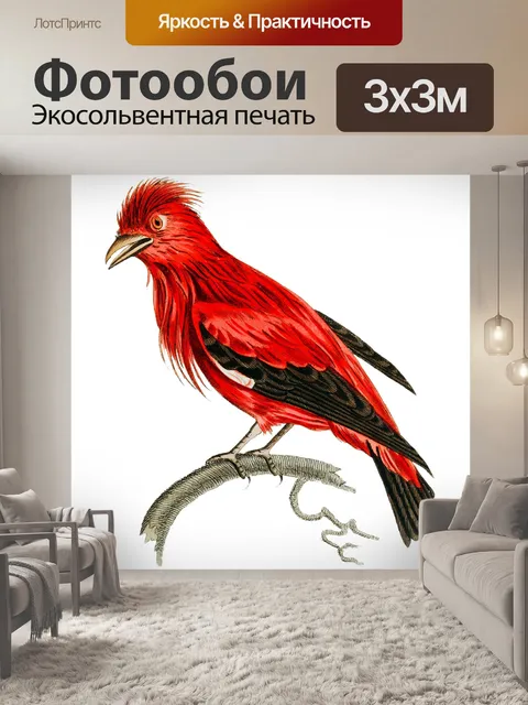 Фотообои Птицы тропических старинных искусства