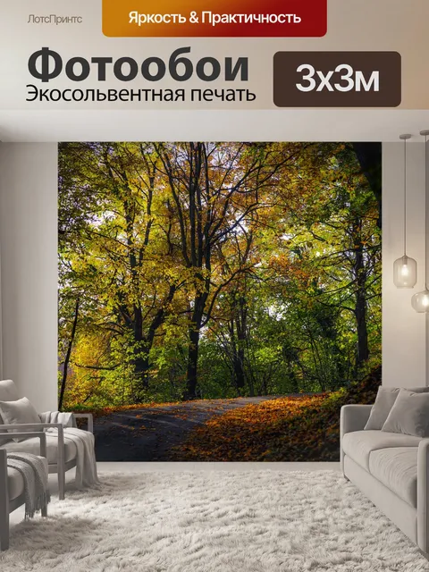 Фотообои Дорога